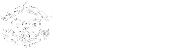 Macy Visa - Immigration Specialist